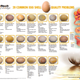 Imagen para el artículo titulado 9 anomalías que puedes encontrar en los huevos de gallina (y qué significan)